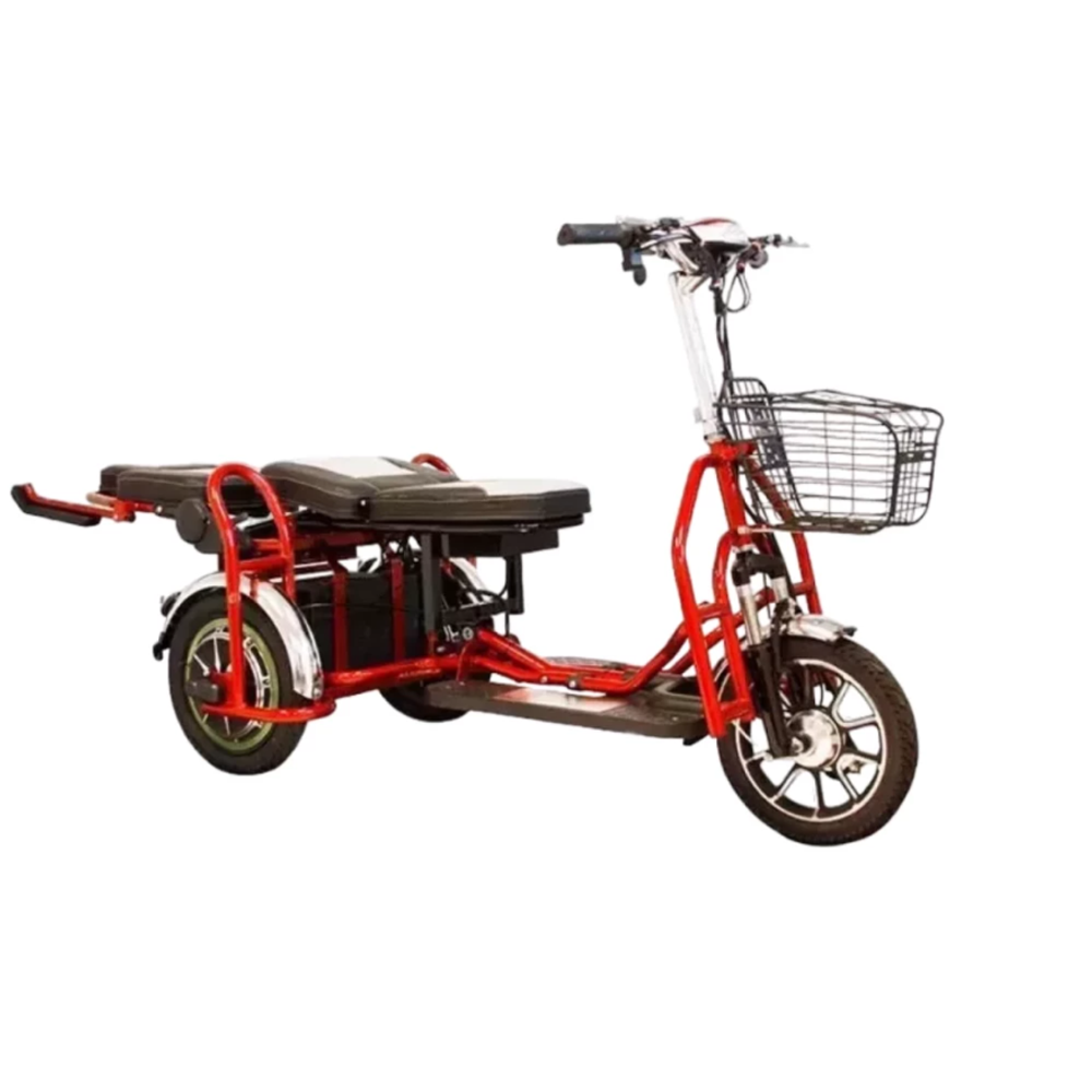 Трехколесный электросамокат Elbike Адъютант Double A3 (350W 48V 12Ah) Trike