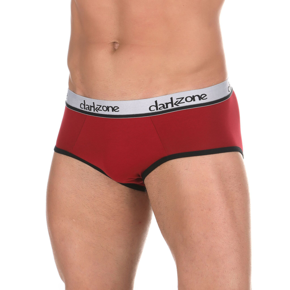 Бордовые хлопковые трусы-брифы (Размер: S) (Цвет: бордовый)