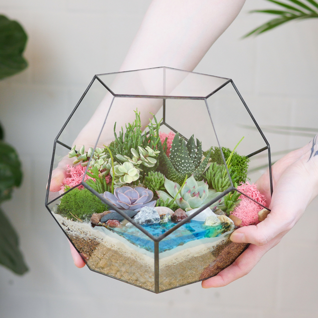Готовый флорариум с суккулентами Сфера с озером