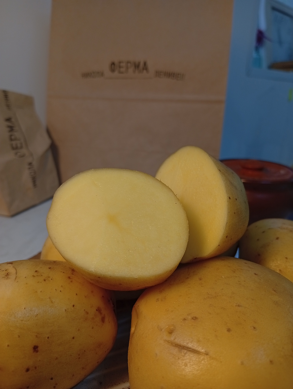 Картофель жёлтый Лисана