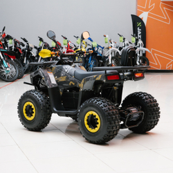 Электроквадроцикл MOTAX GRIZLIK E1500 2024