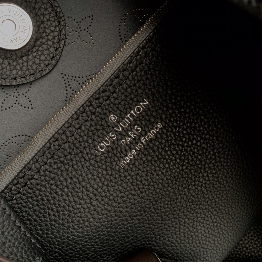 Louis Vuitton Carmel Hobo Bag