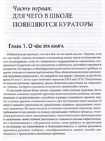 Педагогическая поддержка в школе и система работы индивидуальных кураторов