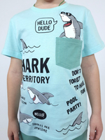 01-85-9 Комплект для мальчика (фуфайка+шорты)