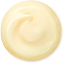 Shiseido Benefiance Wrinkle Smoothing Cream Enriched - дневной и ночной крем против морщин для сухой кожи /   75  ml  / GTIN 768614160465