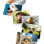 МЕМЫ Часть 3: Котики