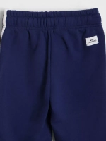 Спортивные штаны для мальчика с лампасами