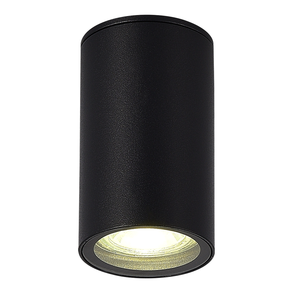 SL9010.412.01 Светильник уличный потолочный ST-Luce черный GU10 1*50W TUBO