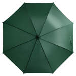 Зонт-трость Umbrella "Promo" механический, тёмно-зелёный