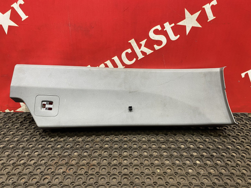 Накладка салона левая 2020г