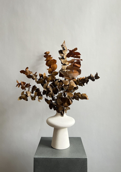 Эвкалипт Цинерия стабилизированный оранжевый