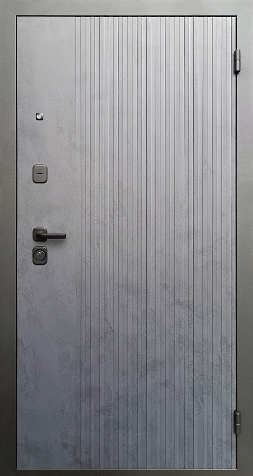 Дверь входная Рона зеркало