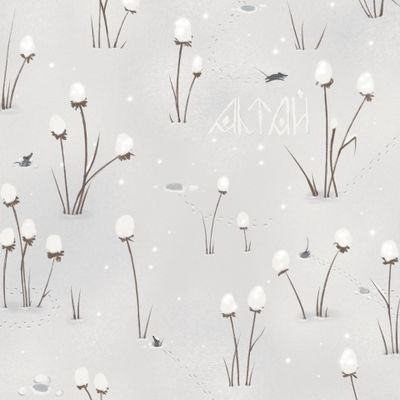Снежная равнина. Алтай