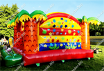 Надувной батут "Лето"
