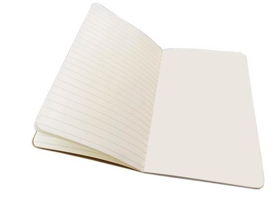 Bloknot \ Блокнот\ Notebook   Ashmolean Museum Set of 3 Mini Notebooks