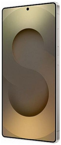 Samsung Galaxy S25 Ultra 12/256Gb Global Titanium Gray