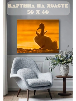 Картина на стену 40 X 50 Утенок
