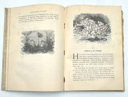 Вагнер Г. Путешествие по полю и ниве : Прогулка с молодыми друзьями Германа Вагнера . СПБ.-М. 1907