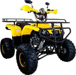 Квадроцикл AVANTIS Patriot M