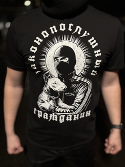 Футболка Vigrid Division "Законопослушный гражданин" Черный