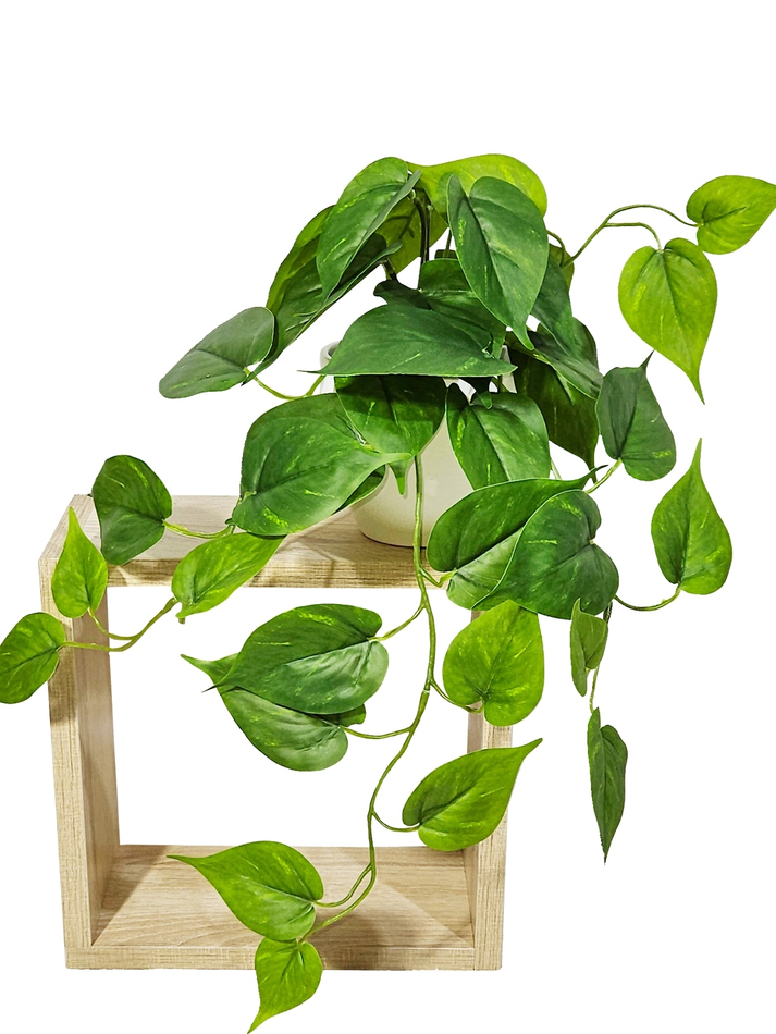 Искусственное растение Сциндапсус зеленый малый 35см в кашпо