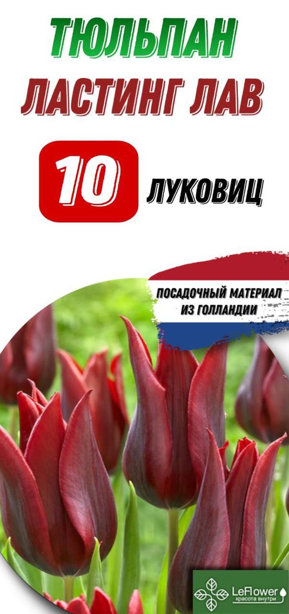 Тюльпан Луковица, Ластинг Лав, 10шт