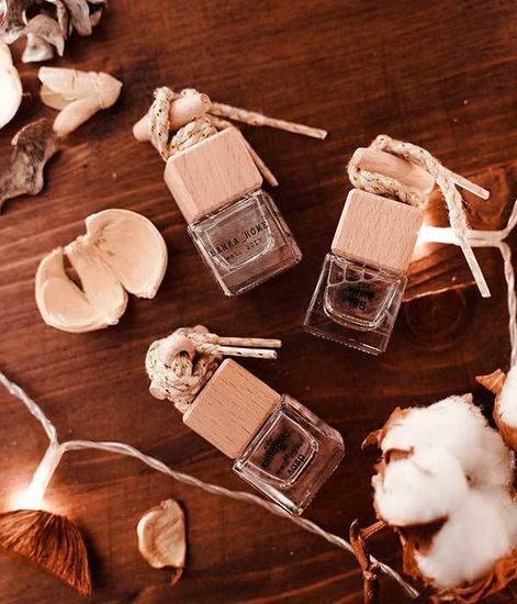 Автомобильный диффузор Вечнозеленая ель, Banka home