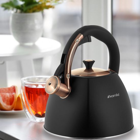 Чайник 3 л. из нержавеющей стали со свистком Kamille KM 0864