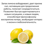 Лимон, кубики восковые для ароматизации, 10 штук