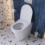 Унитаз приставной напольный BelBagno Flay-Tor BB1003CB-TOR/SC белый, безободковый, с крышкой микролифт, слив-торнадо