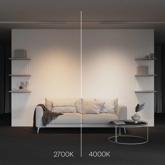 Трековый светодиодный светильник Maytoni Technical Basis TR196-3-20W2.7K-W