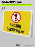 Табличка для обеспечения безопасности "Проход воспрещен", для офиса, по охране труда для предприятия, организаций, 40х30 см, Silver Plane x Айдентика Технолоджи