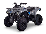 Квадроцикл Avantis Forester Long 200 Basic Серый