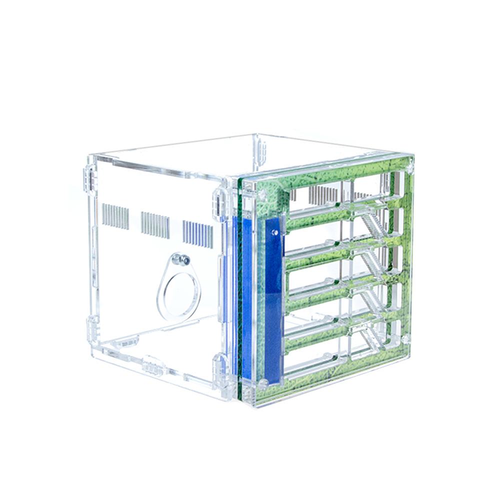 Муравьиная ферма СОТОЧКА 3.0