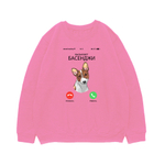 Свитшот "Басенджи вызывает"