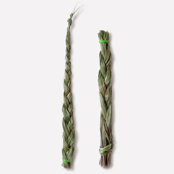 Зубровка душистая Sweetgrass (Mini)