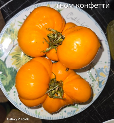 ГНОМ КОНФЕТТИ