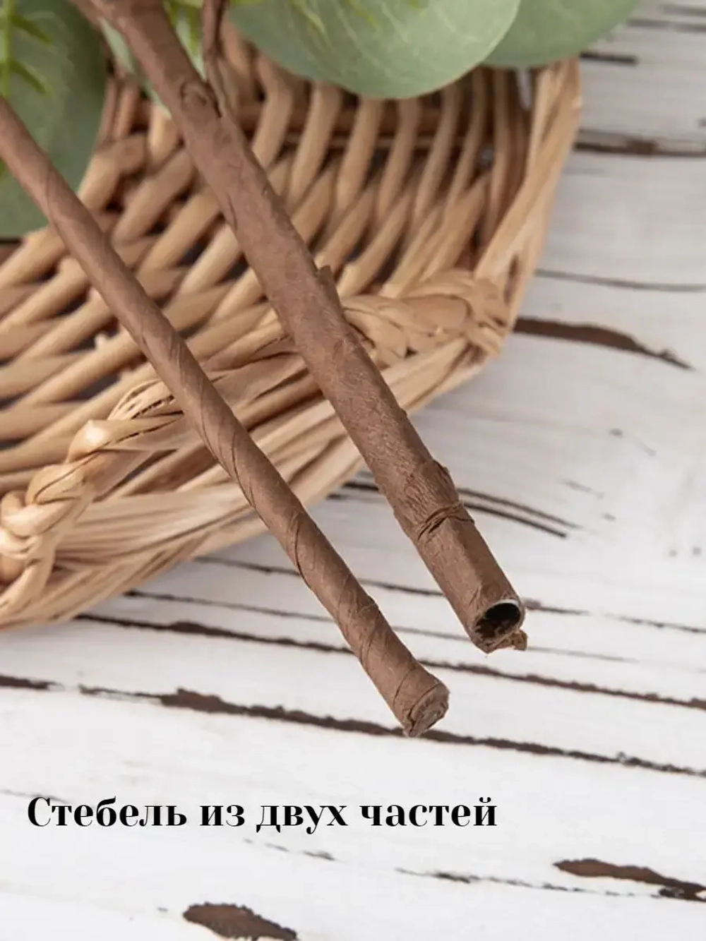 Искусственный эвкалипт
