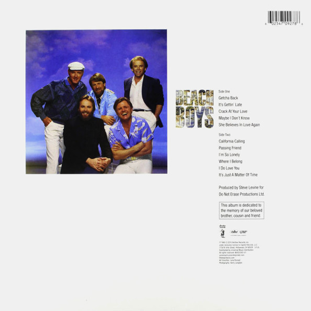 The Beach Boys / The Beach Boys (LP)