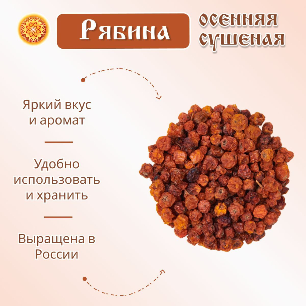Рябина красная. Алтайская "Осенняя" ягода сушеная