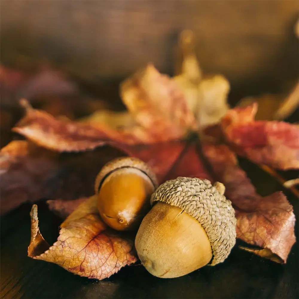 Отдушка CS - Кленовый лист и желудь (Maple Leaf and Acorn)