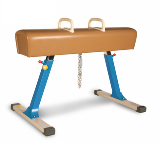 Тренировочный маховый конь