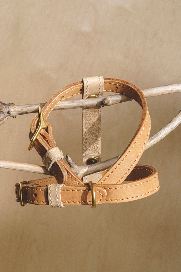 Шлейка "Пони-гулёни" Бежевый и рыжий