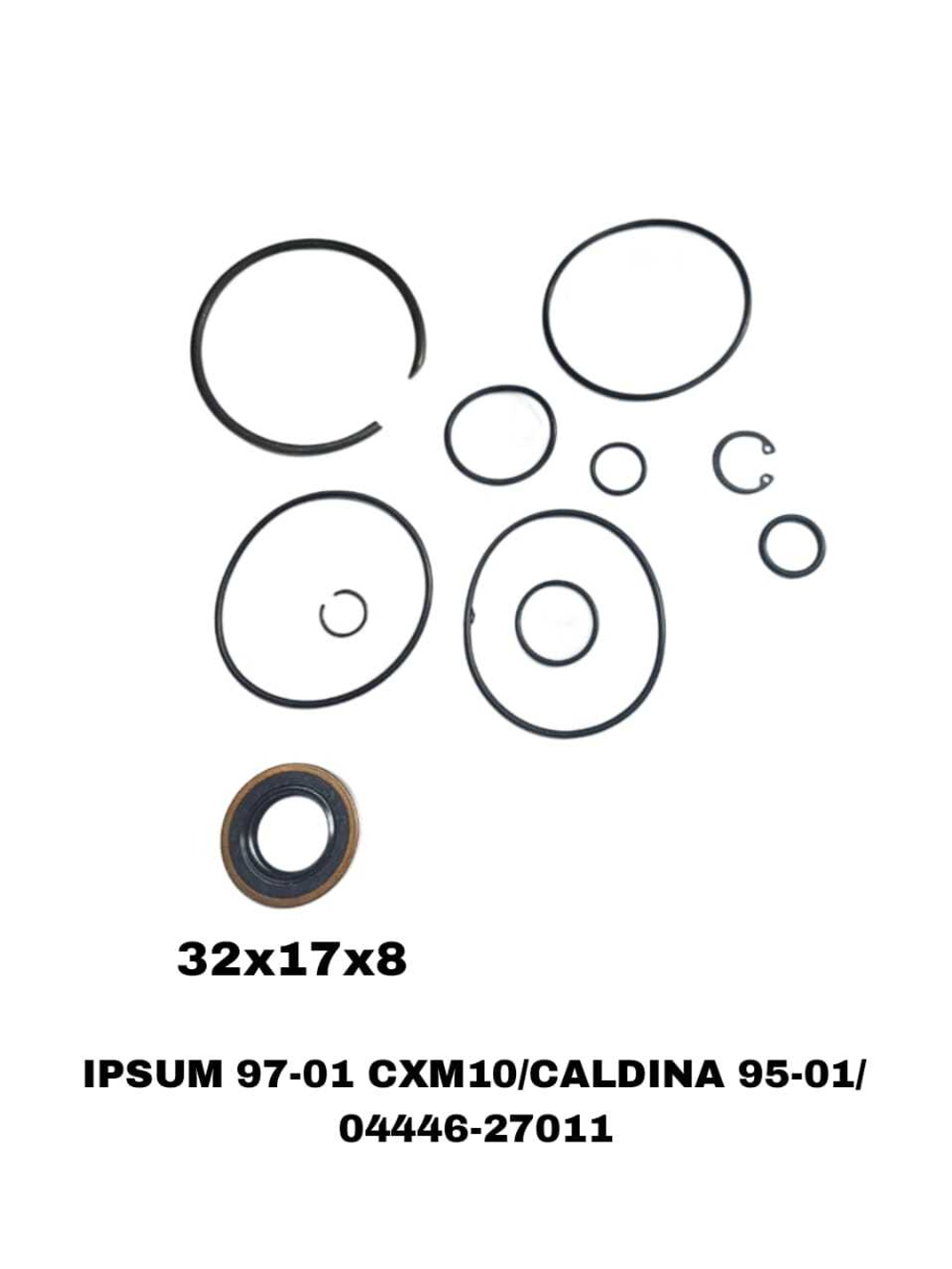 РЕМКОМПЛЕКТ ГУРА IPSUM 97-01 CXM10/