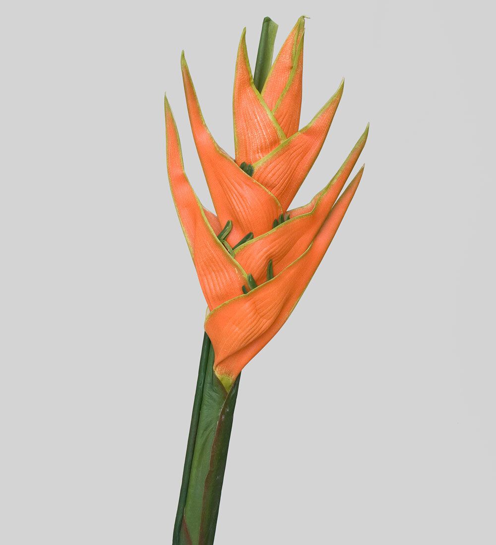 TR 631 Геликония