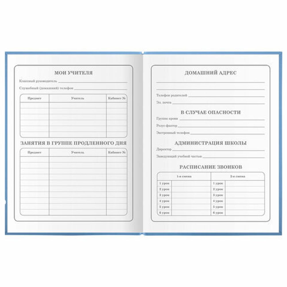 Дневник 1-4 класс 48 л., гибкая обложка, ЮНЛАНДИЯ, выборочный лак, с подсказом, "Совушка", 106342