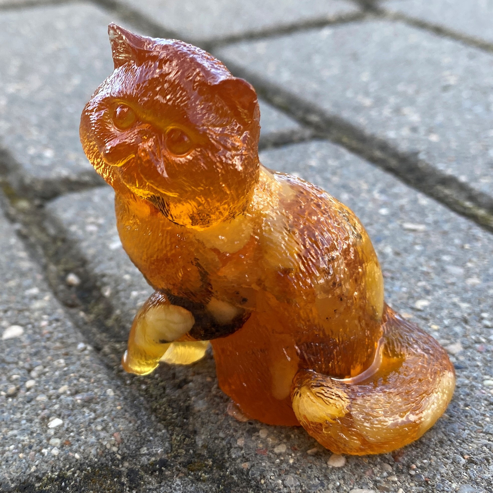 Персидская кошка