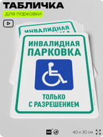 Табличка для парковки "Инвалидная парковка", для дома, офиса, организаций, 40х30 см, Silver Plane x Айдентика Технолоджи