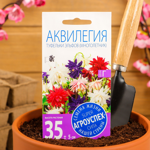 СЕМЕНА АКВИЛЕГИЯ ТУФЕЛЬКИ ЭЛЬФОВ М*0,1Г (500)