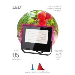 Фитопрожектор для растений светодиодный ЭРА FITO-50W-RB-LED для цветения и плодоношения красно-синего спектра 50 Вт